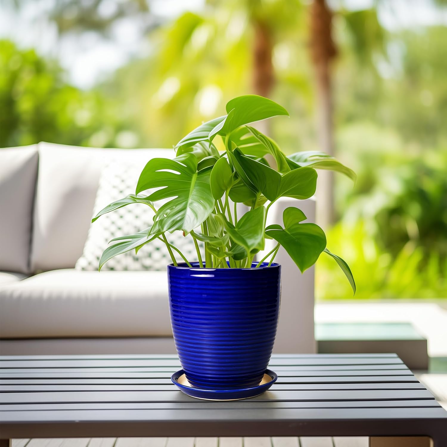 Round Ceramic Planter - Modern 8 Inch Plant Pot with Drainage Hole and Tray for Flower Indoor Outdoor Garden Decor Blue
