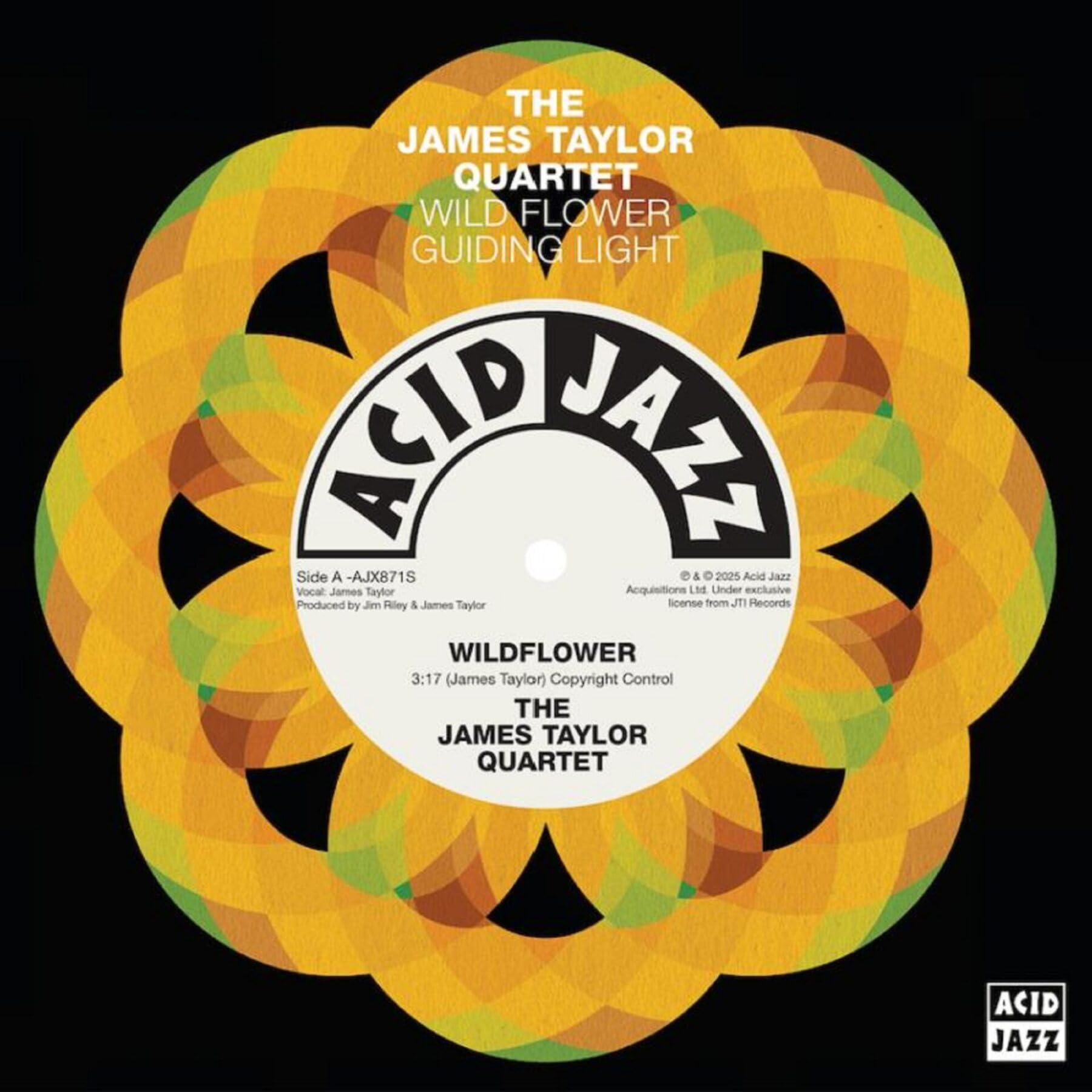 Wildflower/Guiding Light [VINYL]