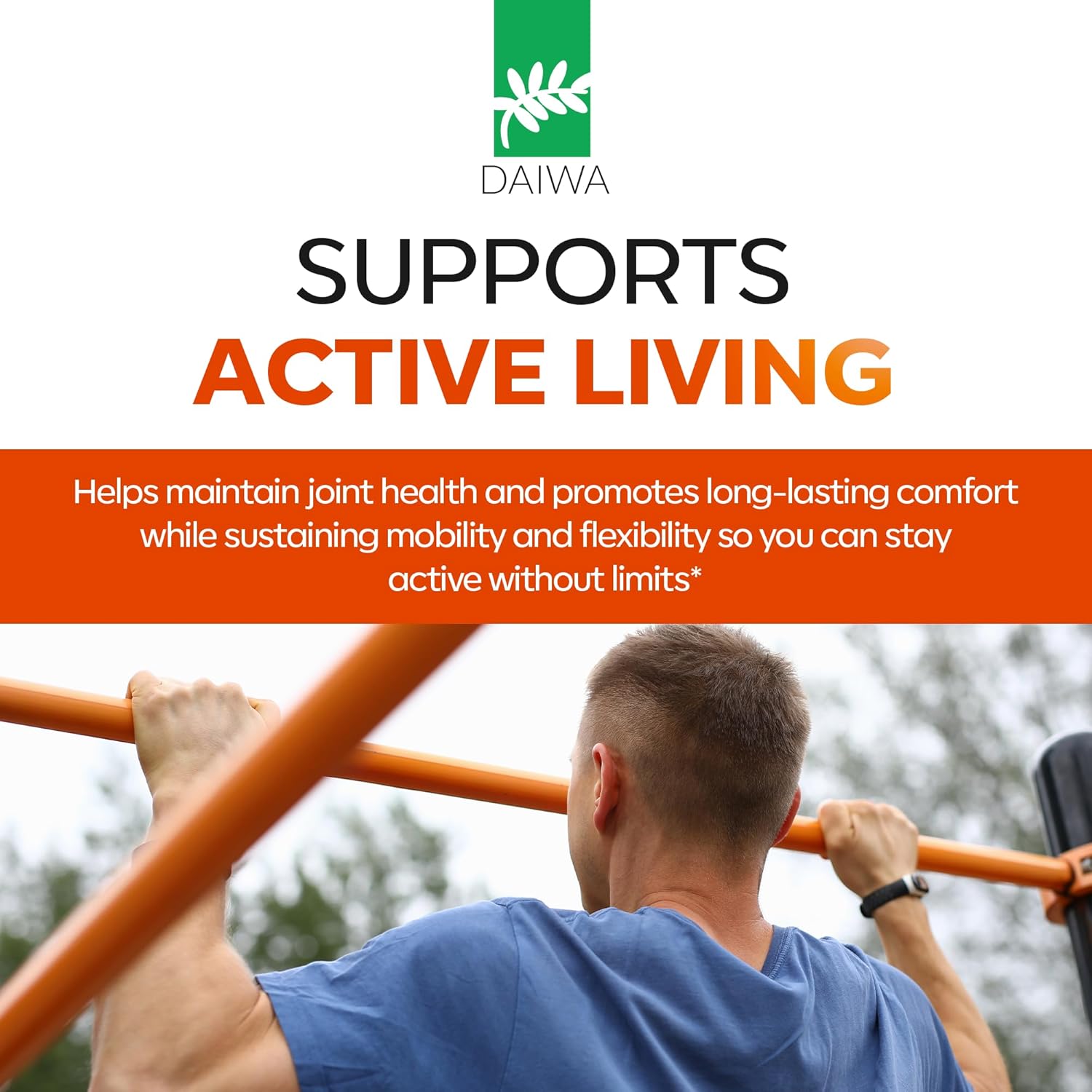 Daiwa Joint Health - Tendon and Ligament Supplements with Chinese Skullcap and Acacia Catechu - Traditional Plant-Based Formula for Active Lifestyles - Non-GMO, 30 Vegetarian Capsules - Image 3