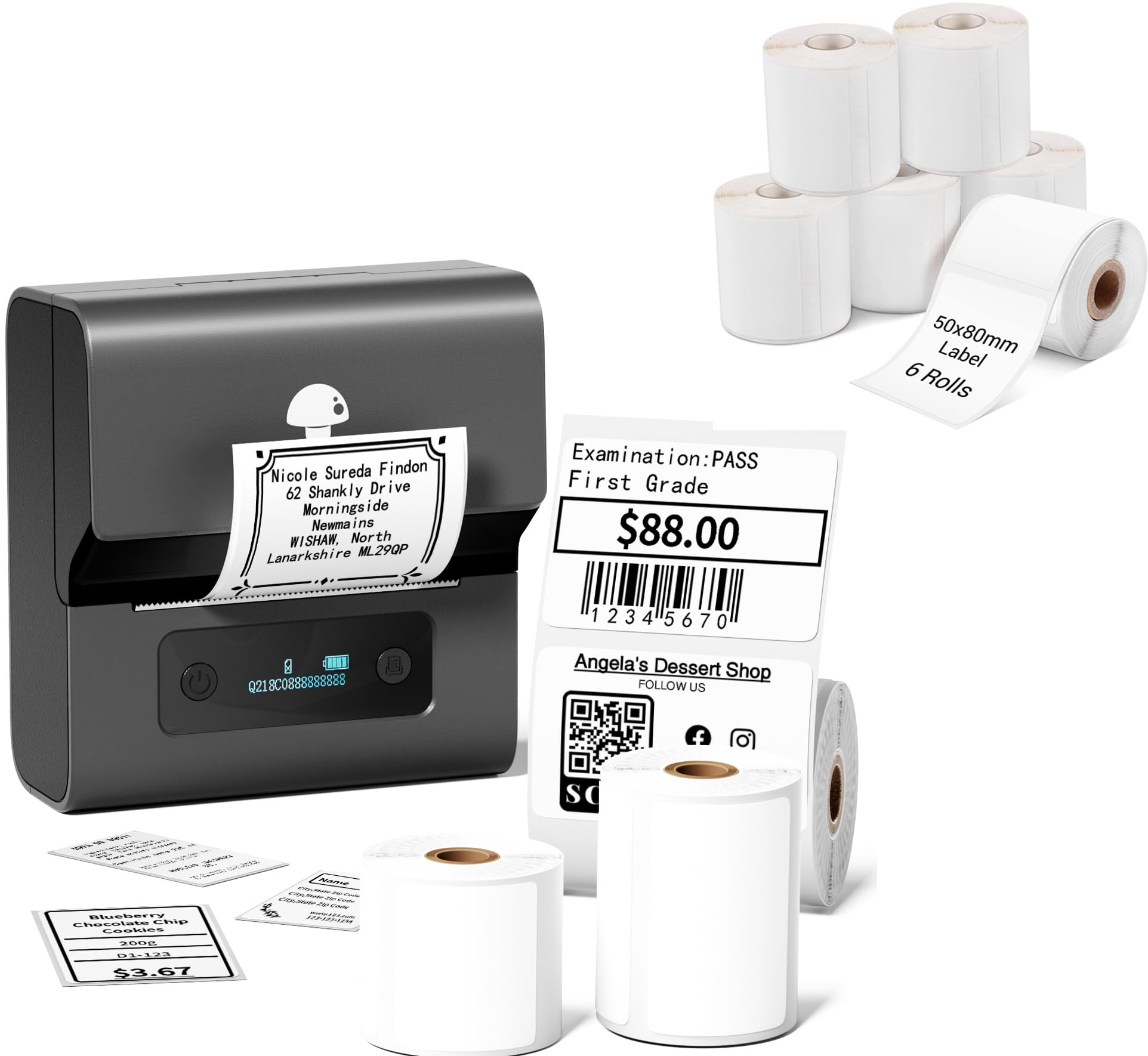 Phomemo M221 Etikettendrucker 9 Rollen Thermodirekt-Etiketten Geschenkbox-Set, Geeignet für kleine Unternehmen, Adressaufkleber, Beschilderungsproduktion, Büro und Schulnutzung