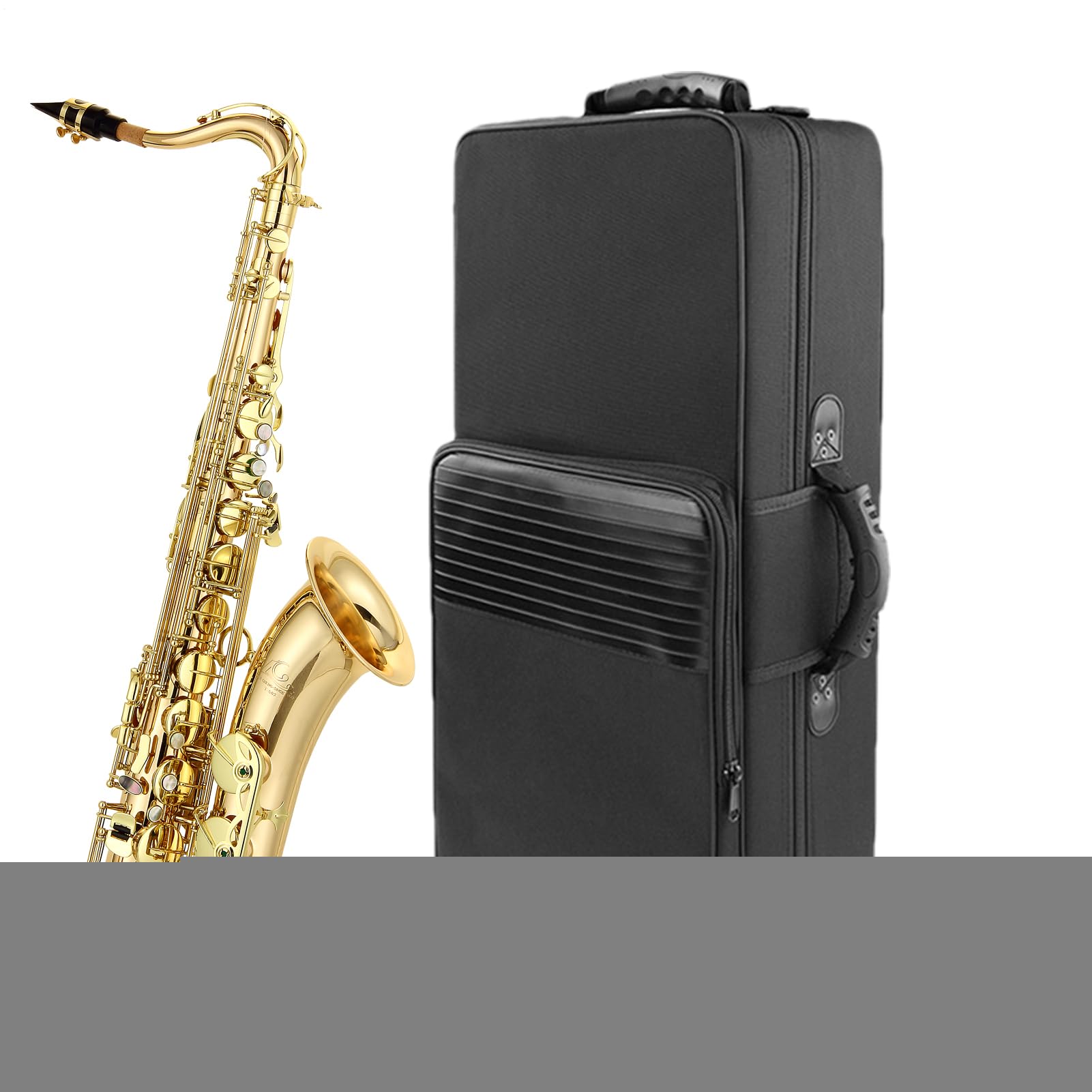 Custodia per sassofono contralto, custodia per sassofono per sax contralto | Borsa morbida imbottita per sax alto | Custodia per in tela 600d Borsa da concerto per per sa