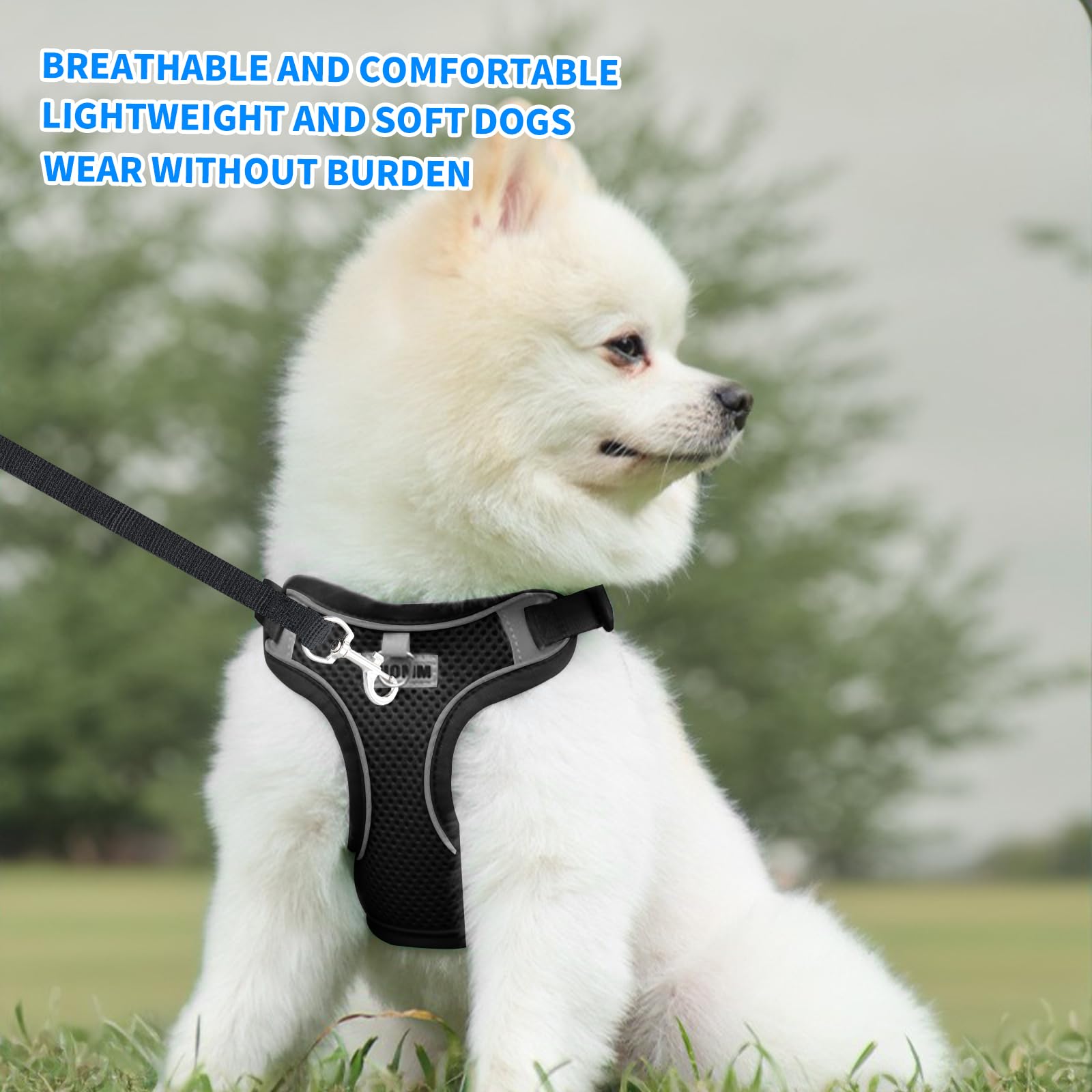Anti-Pull Dog Harness, Adjustable Small Dog Harness, Reflective Dog Harnesses with Leash, Light and Breathable - Image 4