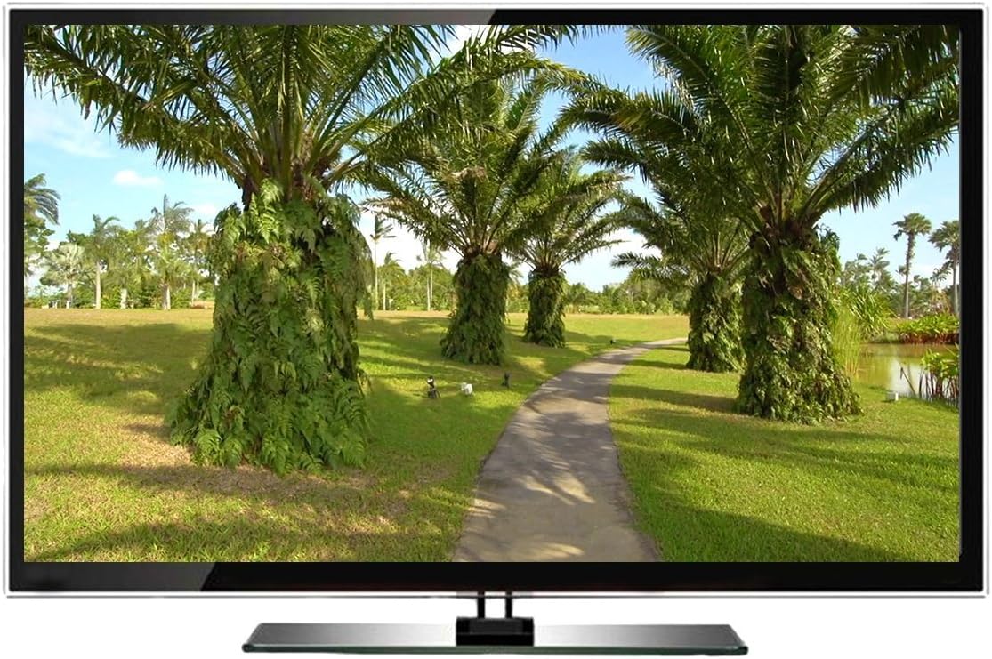Virtual Walks - Singapore Coastal Parks | Indoor Walking, Treadmill Workouts, Cycling Workouts