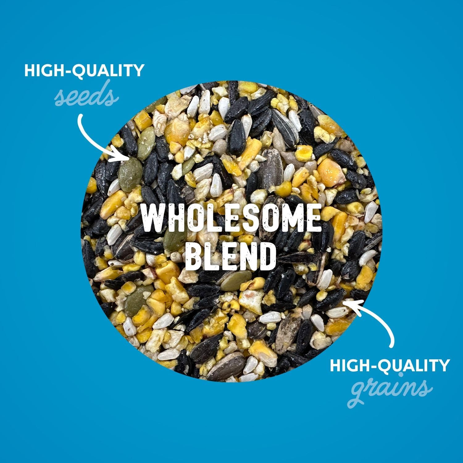 Chicken Treats - Premium Poultry Treats, High Energy and Protein, All Natural Chicken Feed Chatter - 6 lb Bag