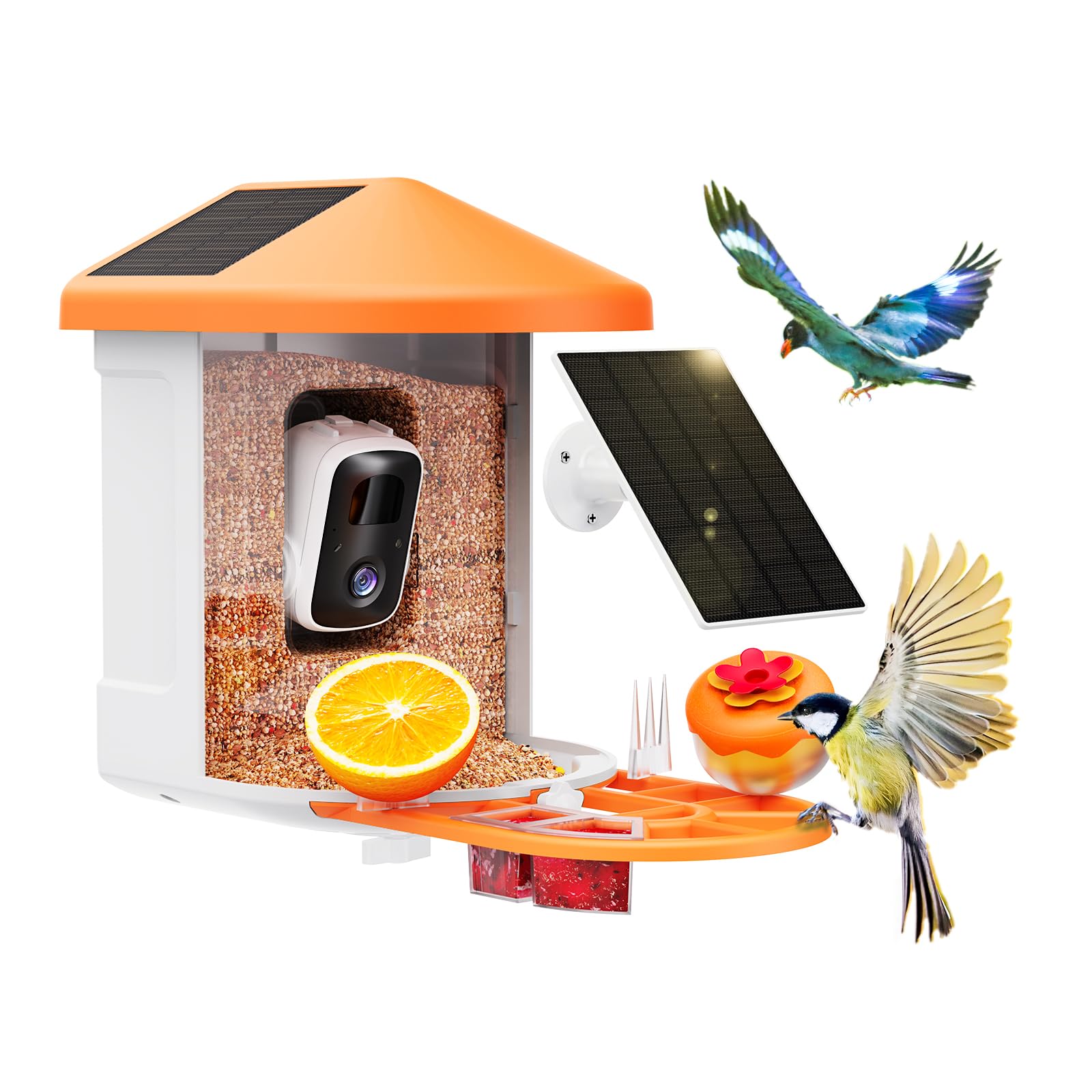 HARYMOR Q8 2K Solar Feeder
