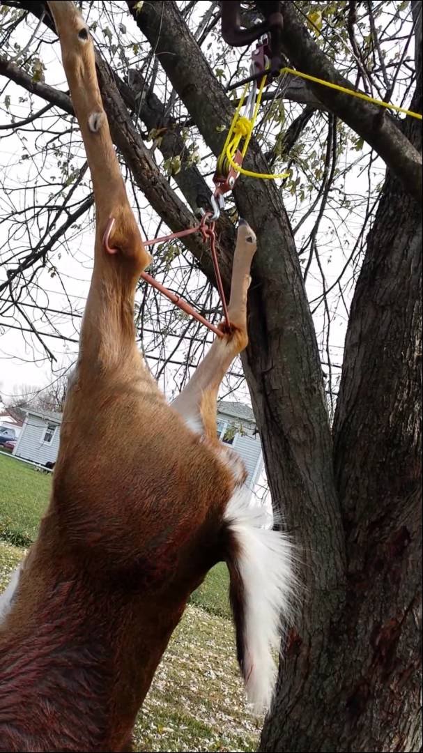 Tourbon Herramienta de Elevación con Poleas 200 kg para Caza de Ciervos