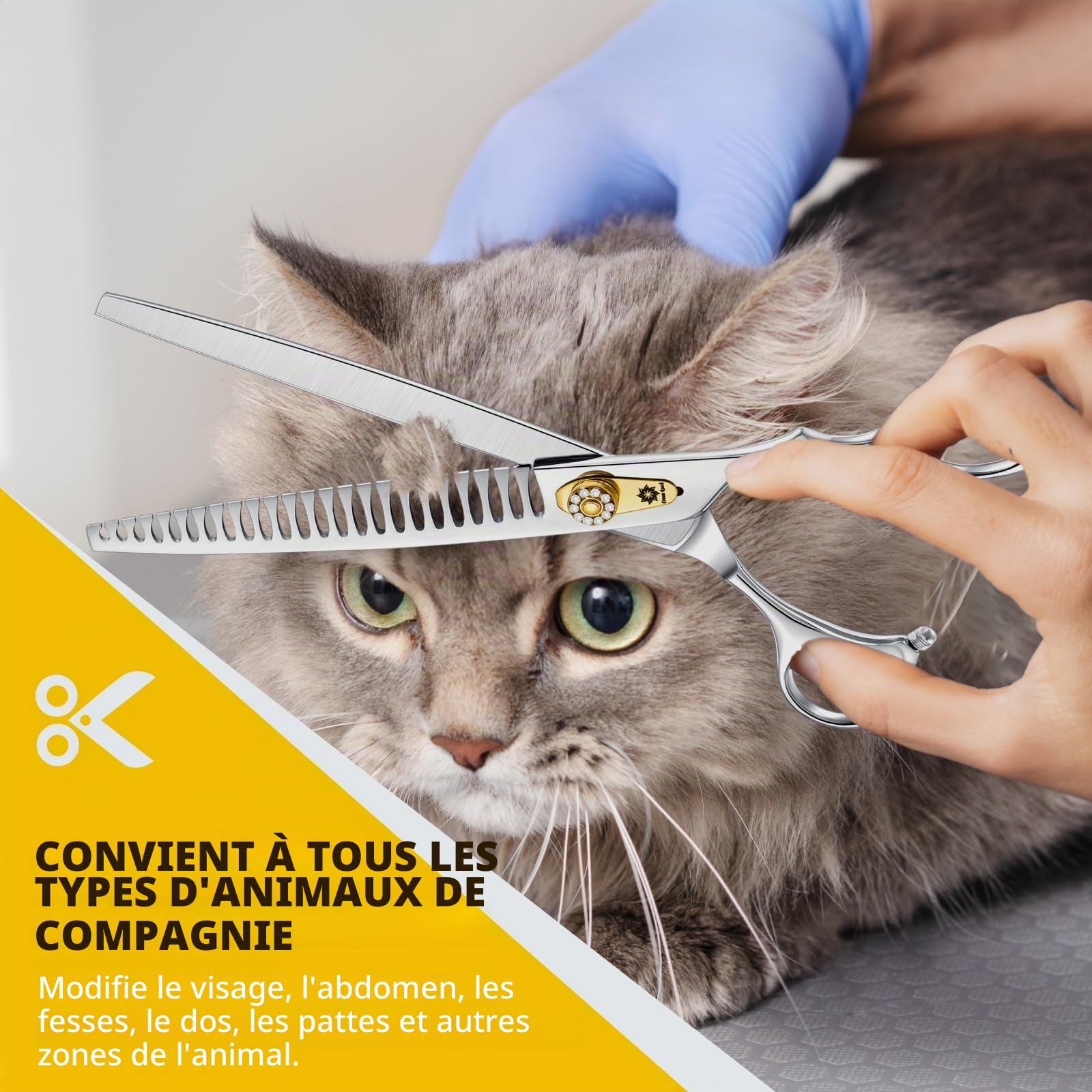 Dream Reach Ciseaux à effiler 8 pouces Ciseaux pour chiens - Ciseaux pour chiens avec poignée ergonomique,440C acier inoxydable Ciseaux pour fourrure 75% taux d'amincissement