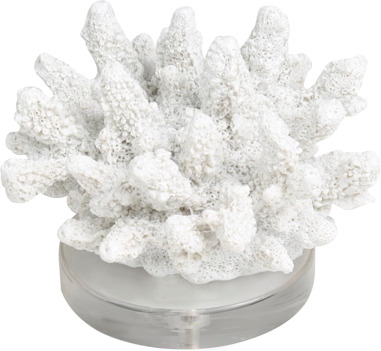 Deco 79 Polystone Coral Decorative Sculpture Small Textured Home Decor Statue with Clear Acrylic Base, Accent Figurine 6" x 5" x 4", White