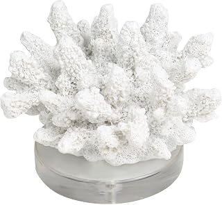 Deco 79 Polystone Coral Decorative Sculpture Small Textured Home Decor Statue with Clear Acrylic Base, Accent Figurine 6" x 5" x 4", White