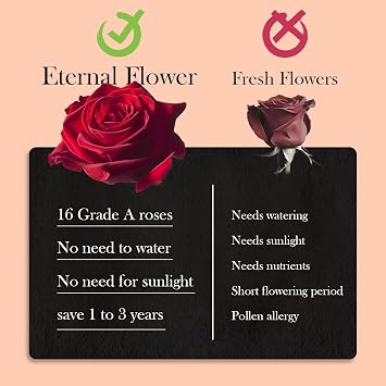16 Preserved Roses in Heart-Shaped Box, Flowers for Delivery Prime Last up 2 Years, Real Forever Flowers for Wife, Girlfriend, Mother, Eternal Roses for Anniversary - Red