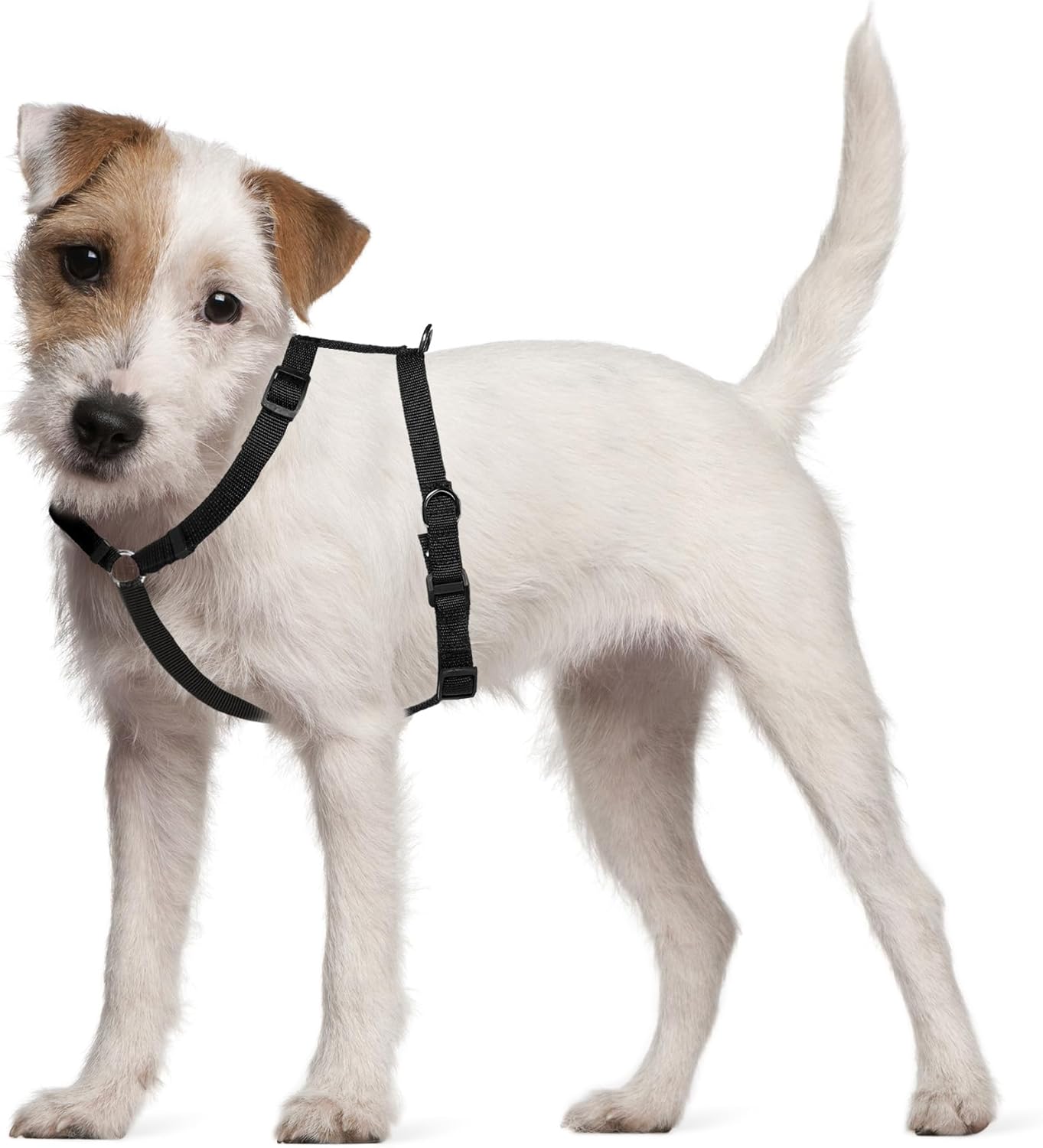 FidoRido Dog Car Seat Harness Secure & Comfortable