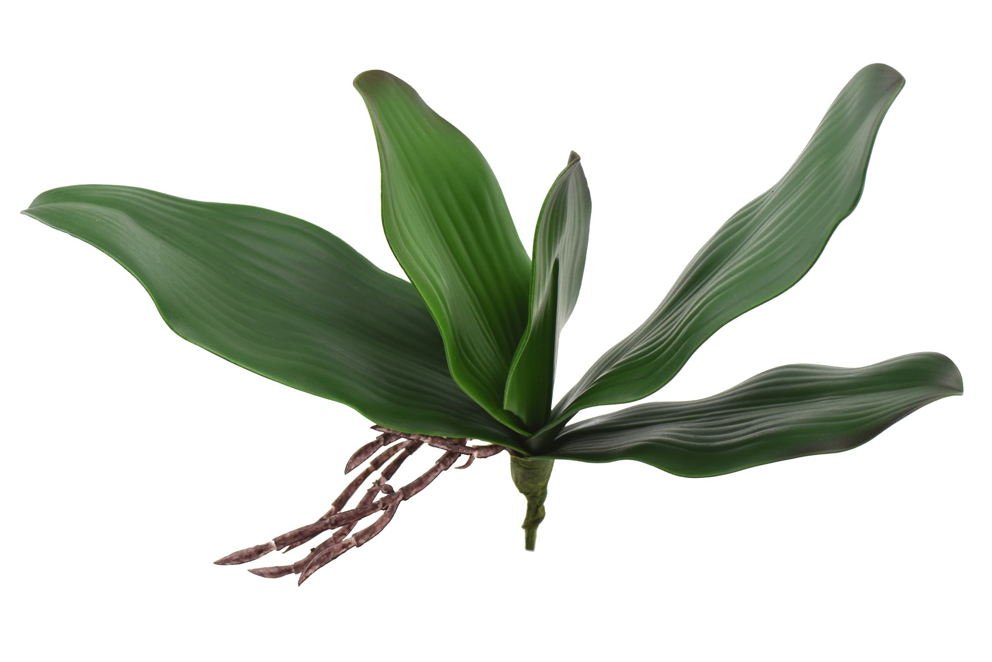 Fiveseasonstuff Green Artificial Orchid Leaf & Root Bundles, Simulation Plants, Decorative Potted Plants Diy Floral Arrangement (Large Phalaenopsis Leaf)