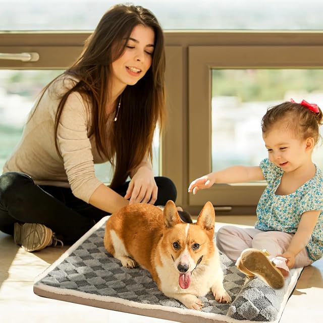 Foto 2 de 7 de PETCUTE Cama Perro Grande,Cama Ortopedica para Perros con Espuma Viscoelastica,Sofá Cama para Mascotas Suave…