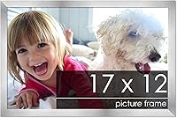 Vista 67 de Marco de 28 x 36 pulgadas de madera de peltre plateado con plexiglás acrílico UV, parte trasera de tablero de espuma y accesorios incluidos