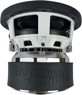 Resilient Sounds Gold 8" SUBWOOFER D4 1,000RMS (2,000WATT)
