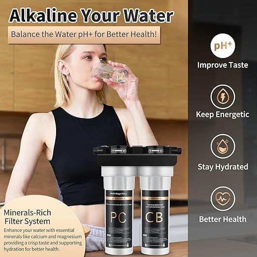 Filtro purificador de agua bajo mesada 2 etapas WINGSOL miniatura 2