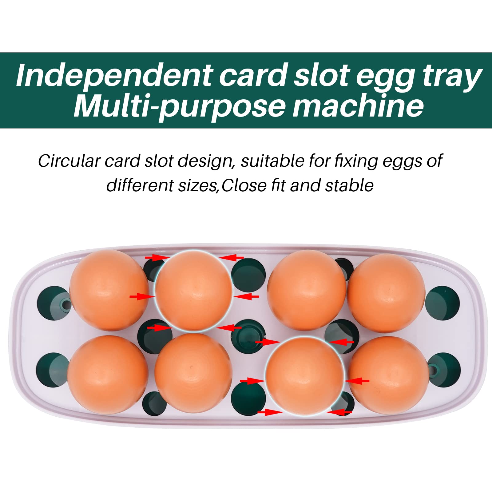 MUALROUS Eier-Inkubator Für 10–20 Eier – Automatischer Eierwender, Temperaturregelung, Integrierter Eierleuchter, Für Huhn, Wachtel, Ente & Papagei