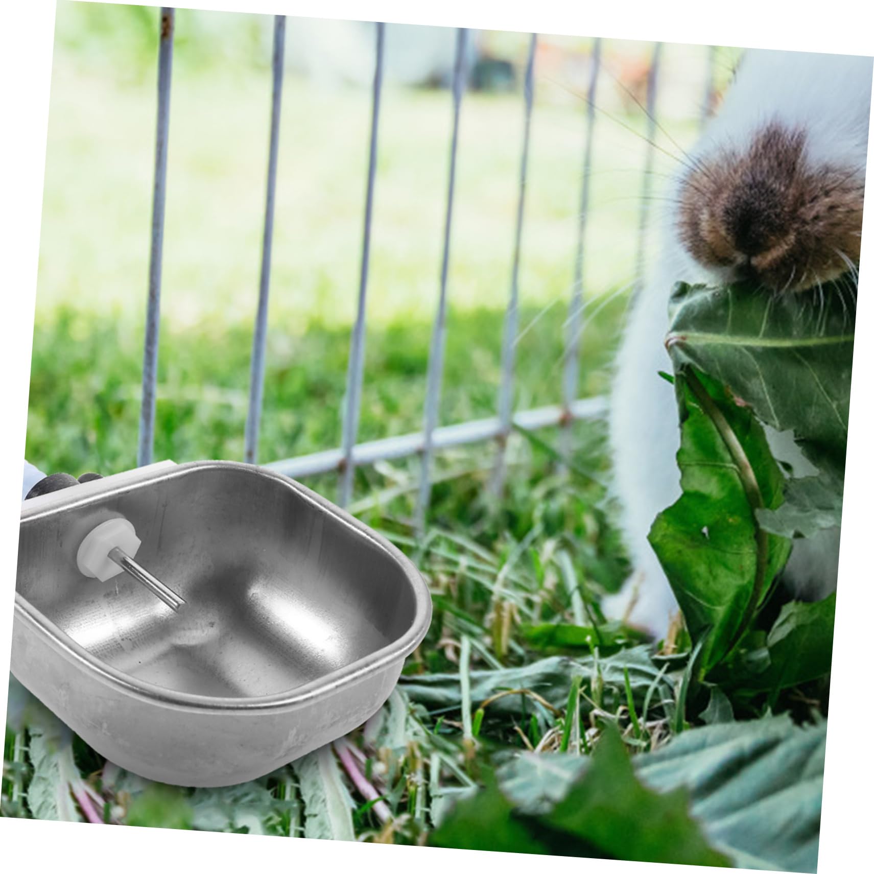 Yardwe 6 Pz Bevitore di conigli mangiatoia per conigli di abbeveraggio per pollame coniglio bunny distributore d'acqua per animali domestici ciotole per bere Acciaio inossidabile