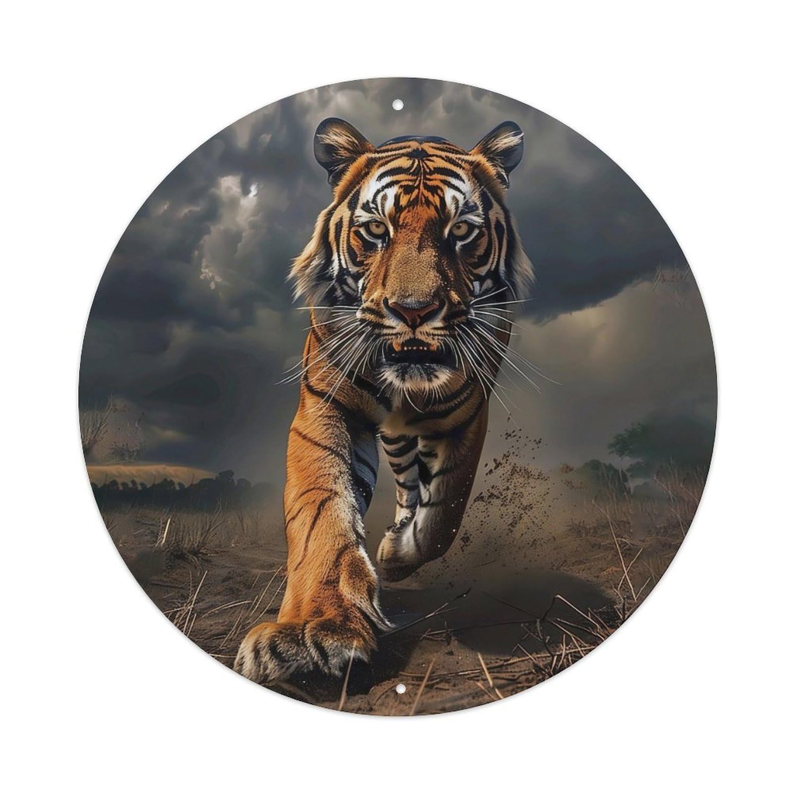 Animal Bengal Tiger Running in Storm Wildlife Photography Nature Power Vintage Metal Tin Sign Plaque Wall Decor for Cafe, Club Bar, Office, Garden Metal Poster 8x8Inch