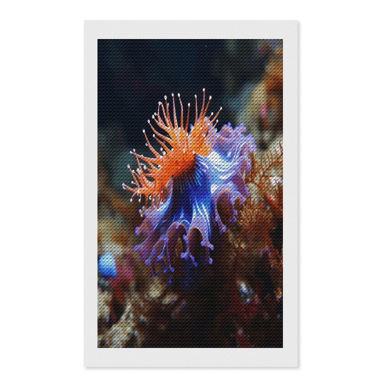 FekiLoot Nudibranch Diamond Art Kits for Adults Diamond Painting Kits for Beginners DIY Diamond Art Kits Round Full Drill Diamond Dot Gem Painting for Home Wall Decor Gift 12"x20"