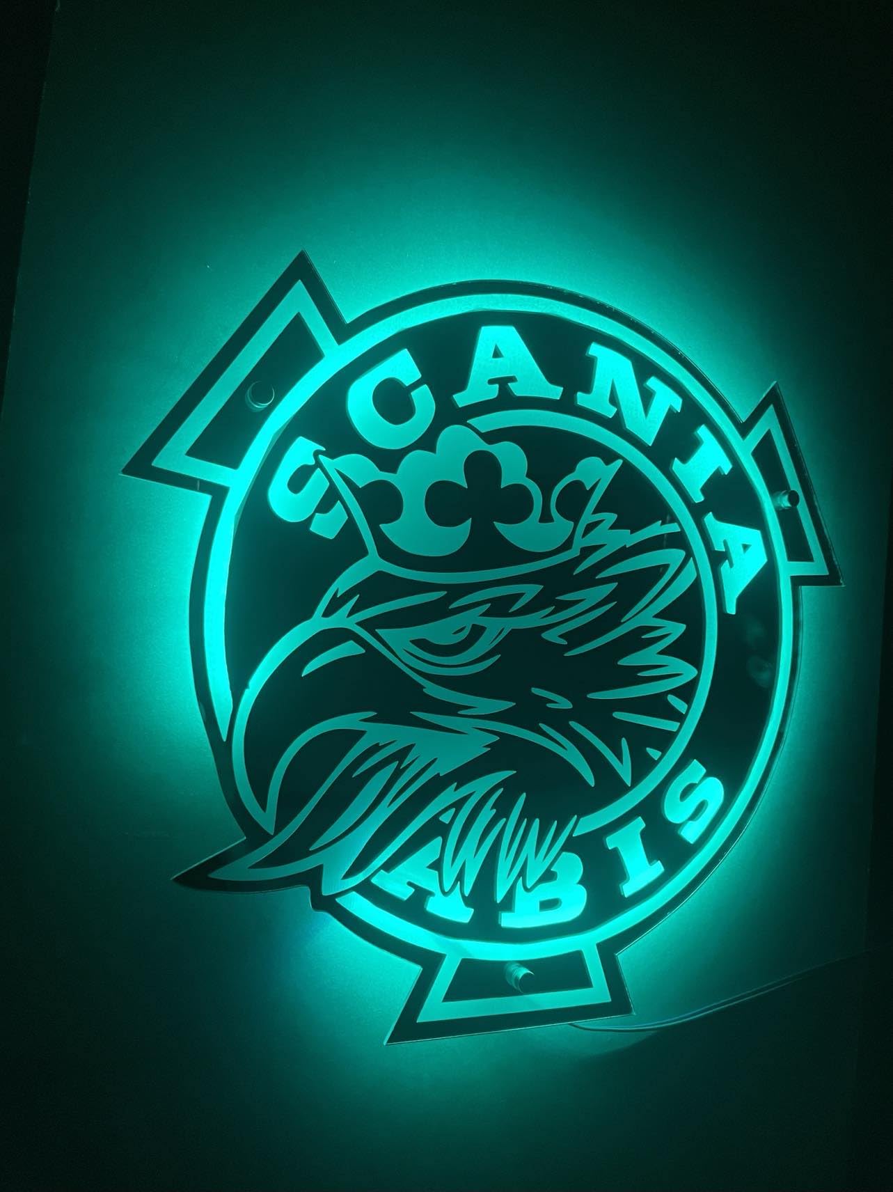 Scania Targa LED 50x50 cm - Accessorio Con Potenza Luminosa Regolabile - Targa LED Posteriore Greif