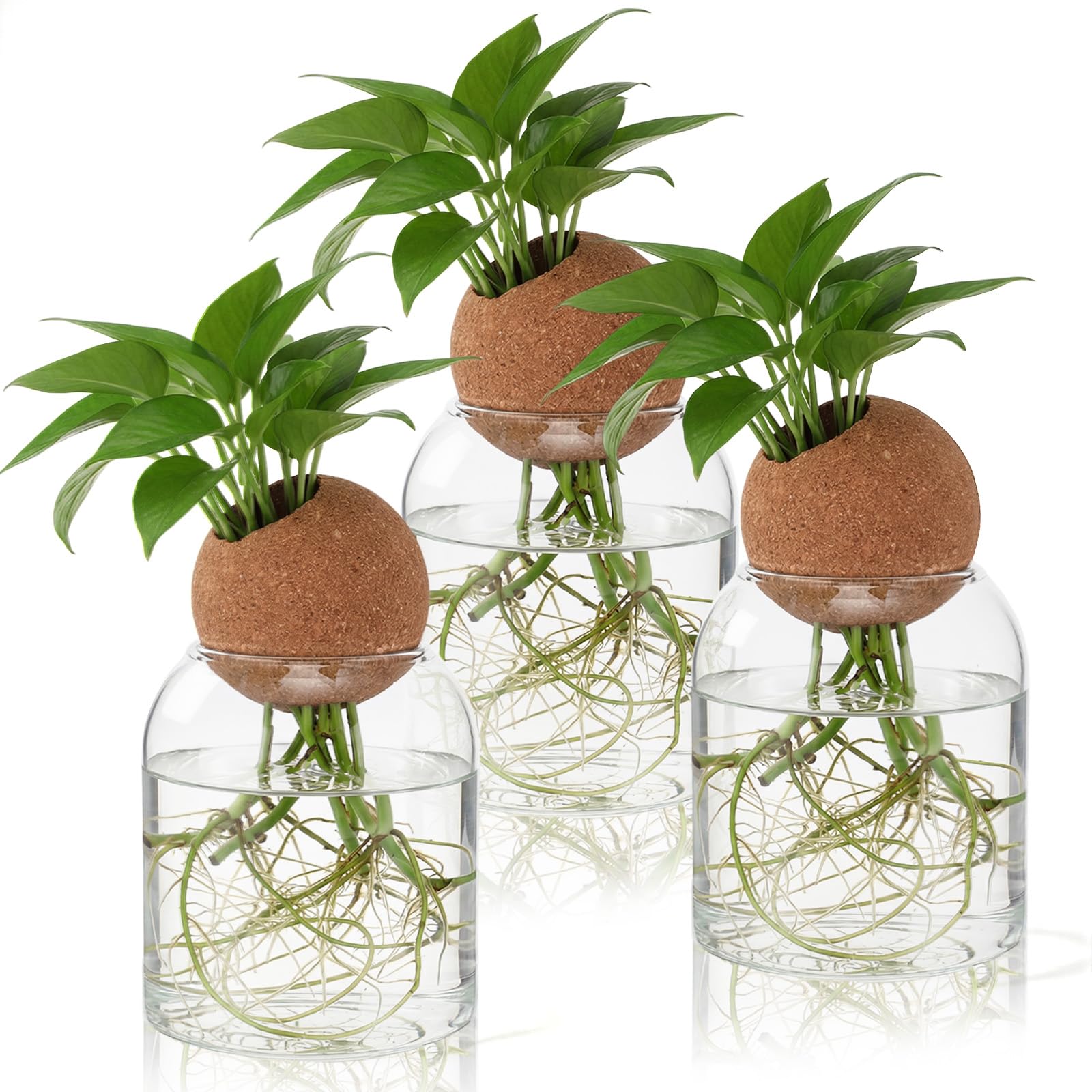 Station de propagation de plantes en verre Baderke 10 cm pour culture hydroponique