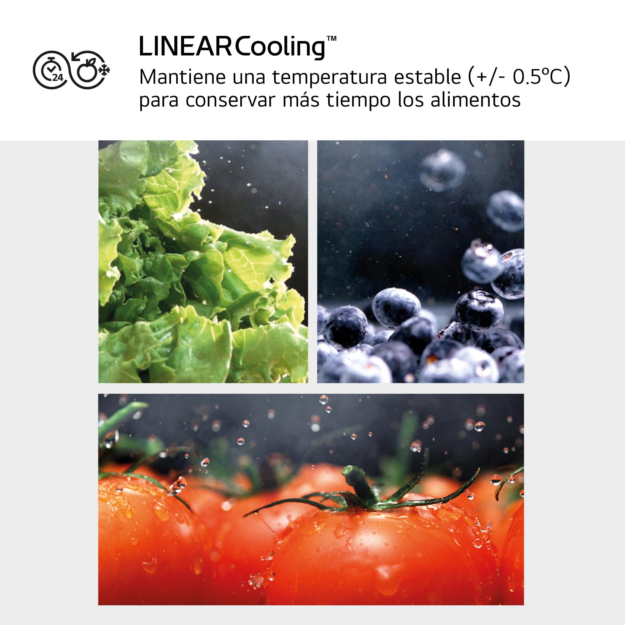 LG GSXV91BSAE - Frigorífico Side By Side, Serie 900, Instaview Door-in-Door, Fresh Balancer, Clasificación E, 635 L, Sin Toma de Agua, Inox Antihuellas