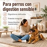 Ver la foto 2