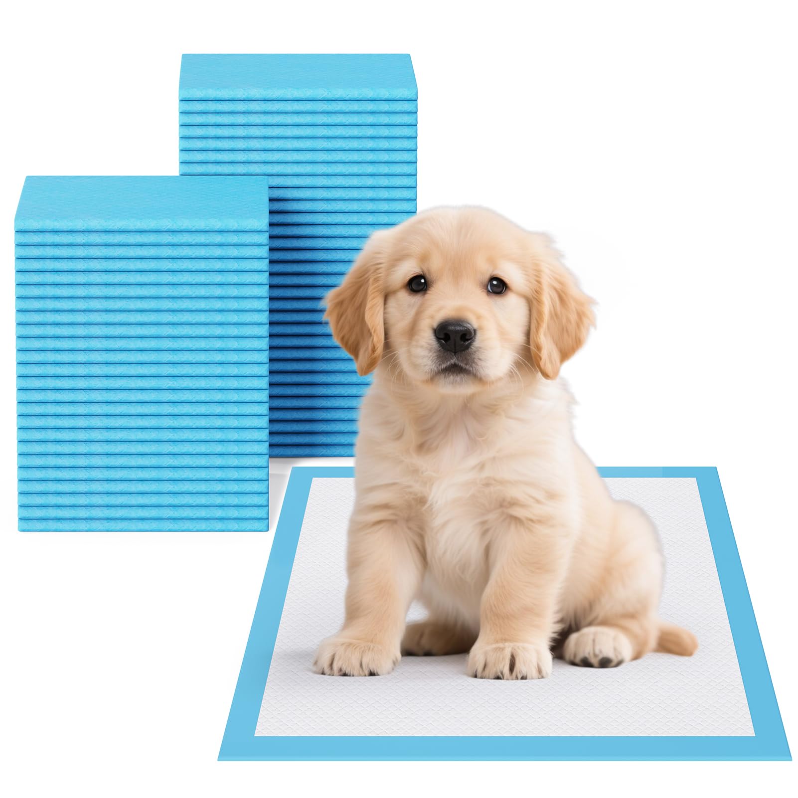 JollyMate Pet Pee Pads - Strong Absorption& Leak-Proof for Dogs - Puppy Pads - Super Absorbent, Waterproof, Quick-Dry, Unscented for Dogs and Cats, Rabbits (Pack of 100 - 22x22)