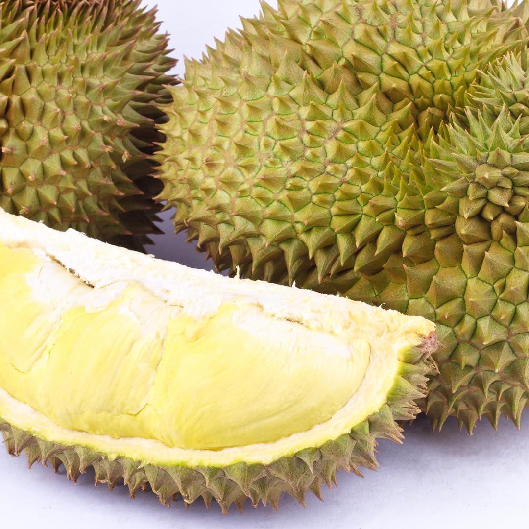 M-Tech Gardens New Durian (Mon Thong, Seedling) Exotic 1 Live Fruit Plant