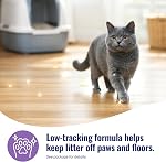 Cat's Pride Max Power UltraClean Low-Tracking Multi-Cat Clumping Litter 15 Pounds, UltraClean Scented