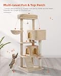 PEQULTI Arbre de chat pour grands chats avec grand perchoir haut, [56,3''=143cm] Tour multi-niveaux pour chats avec sac de couchage, étagères de chat avec des poteaux de scratching et 2 Maisons de condos, Beige, Arbre de couchage