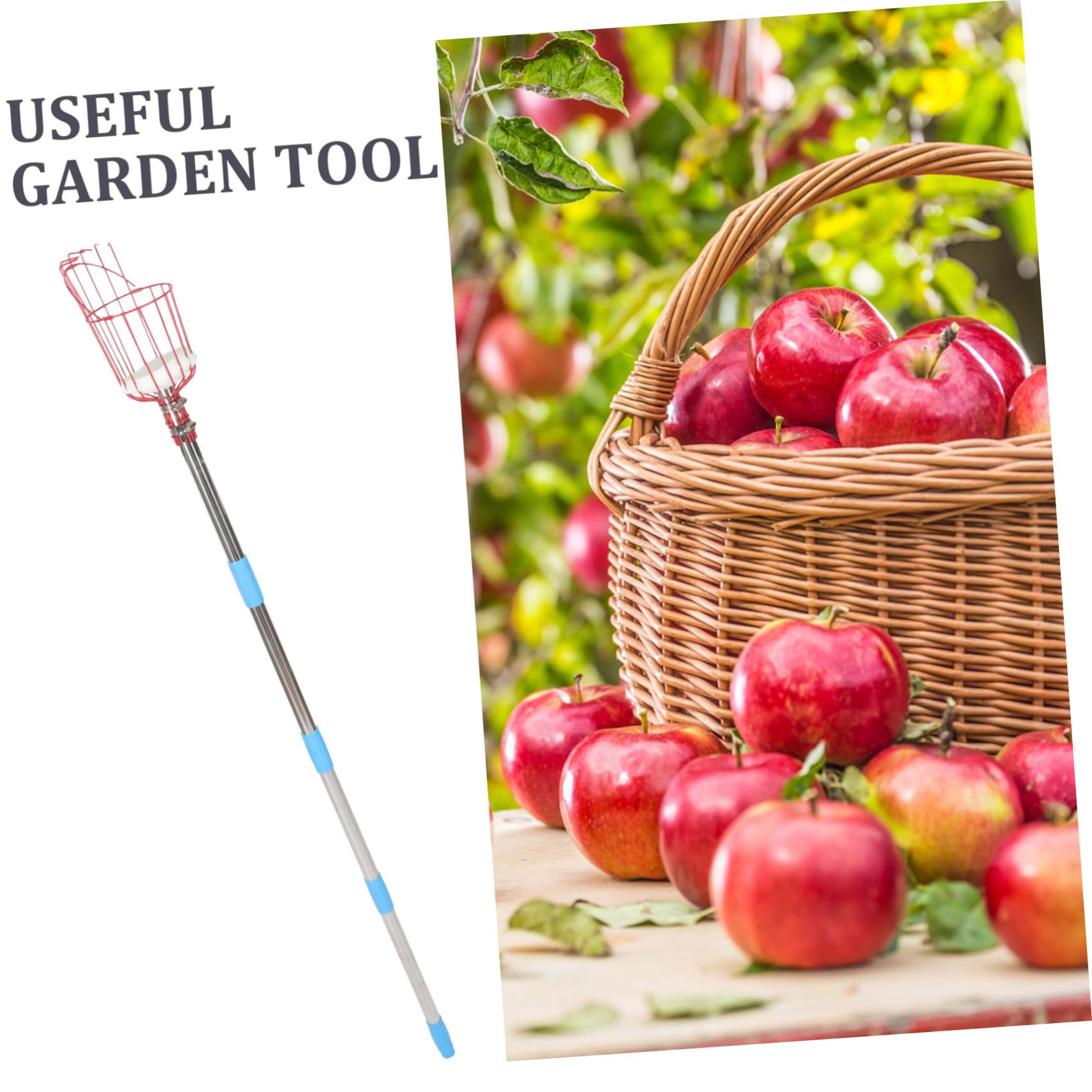 Cueilleur de Fruits Perche INOX 9 Sections, Argenté, 1 Set