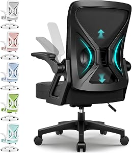 Airchros Ergonomic Office Chair, Desk Chair with Folding Armrests, Adjustable Lumbar Support, Height-Adjustable Executive …