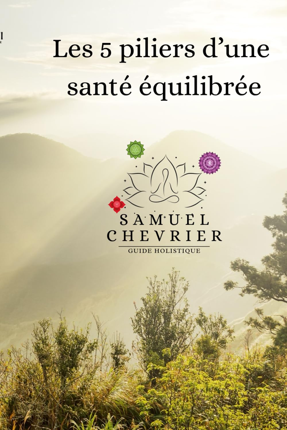 Les 5 piliers d'une santé équilibrée: par Samuel V.-Chevrier, N.D.