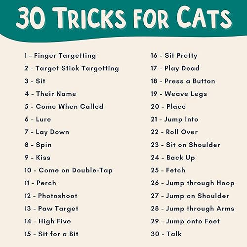 Miniatura 2 de OutdoorBengal The Click Crusade - Juego de cartas de entrenamiento para gatos con clicker para entrenamiento de mascotas con clicker, entrena a los