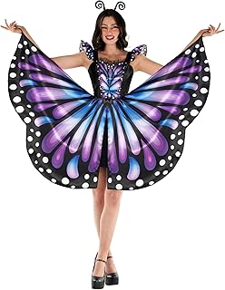 Butterfly Fancy Dress Costumes