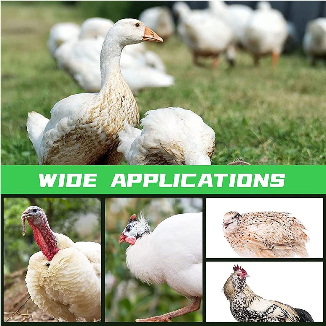 Spiumatrice per Polli, Spiumatrice Elettrica, Spiumatrice Automatica per Pollame, Spiumatrice Commerciale per Pollo, Anatra, Oca, Per Fattoria, Ranch, Uso Domestico,150W