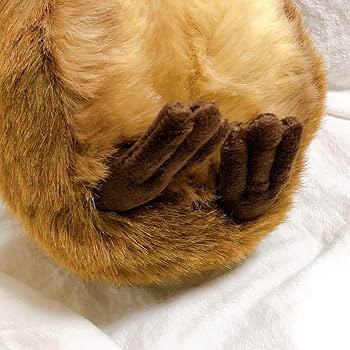 Amazon.co.jp: タグ付き シュタイフ ぬいぐるみ クオッカ