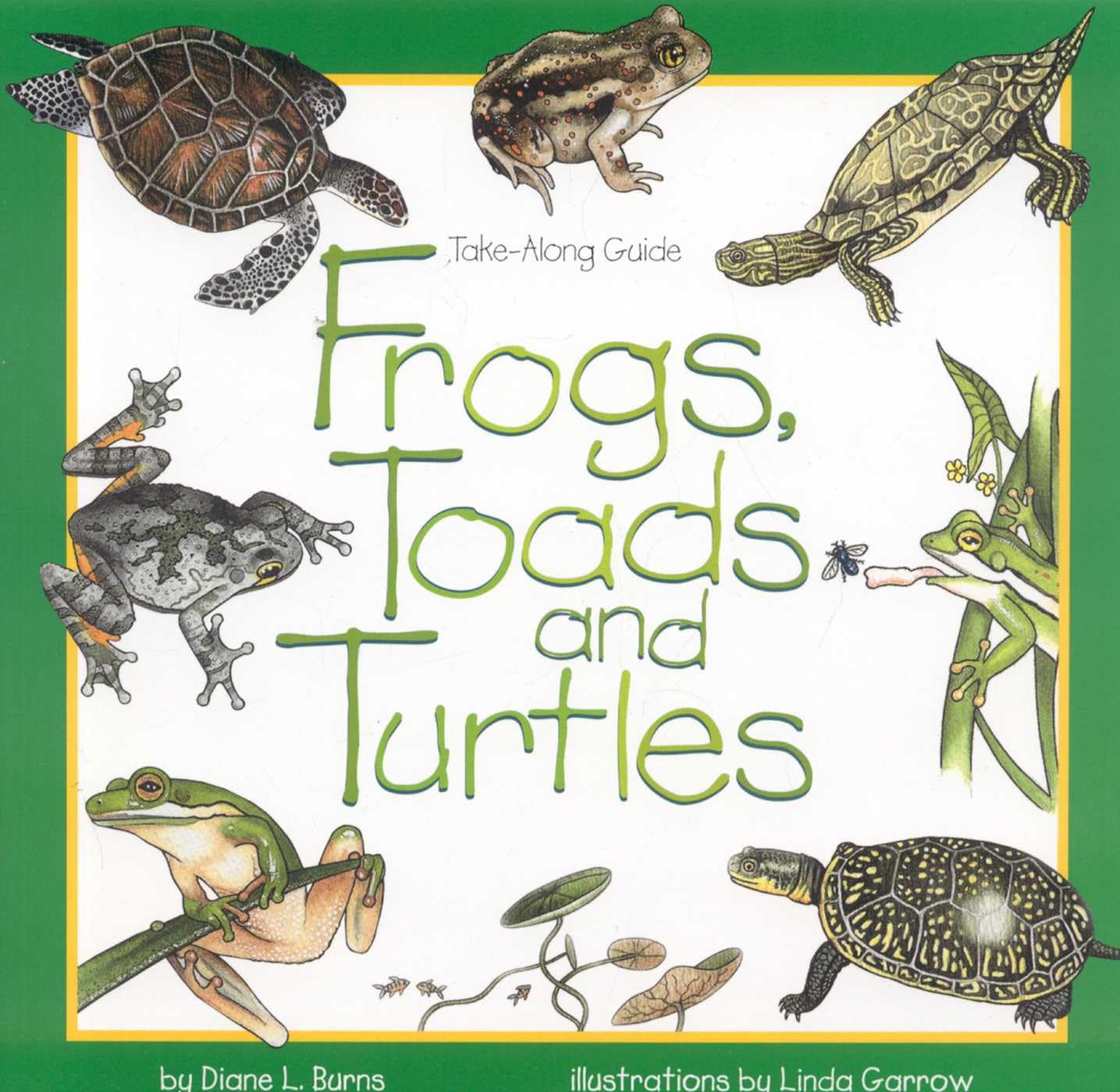 Frogs, Toads & Turtles (Take Along Guides) Paperback – June 1, 1997