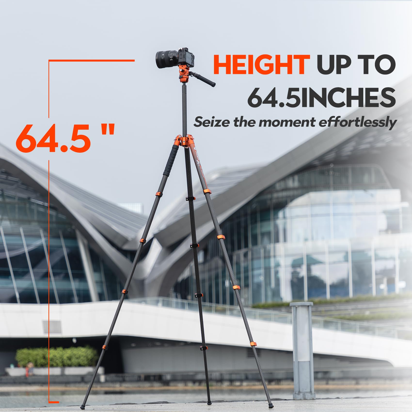 Amazon.com : Fotopro X-Airfly Video 64.5 Inch Lightweight Travel