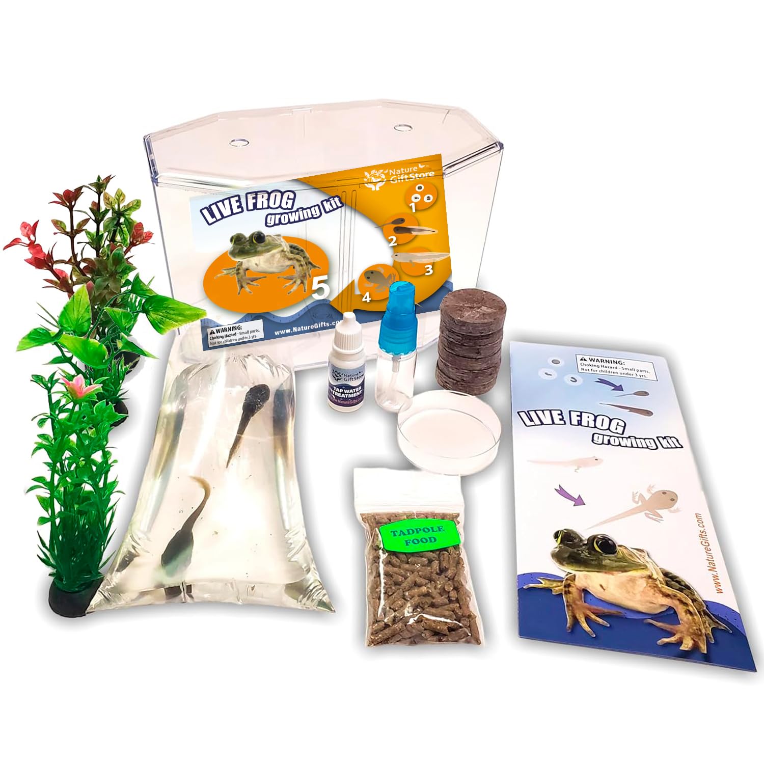 Tadpole to Frog Starter Kit - Includes Certificate for 2 Live Tadpoles - All-in-One Bundle with Habitat, Food, Instructions - Ideal for Education and Home Observation