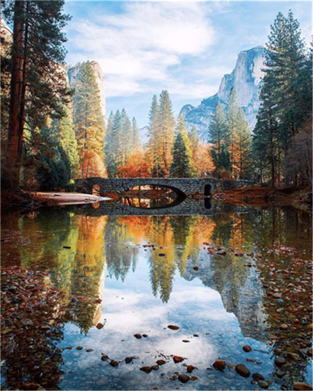 Quadro fai da te dipinto con motivo numeri Sentiero nel bosco 60x40 cm TPN110080 | Leroy Merlin