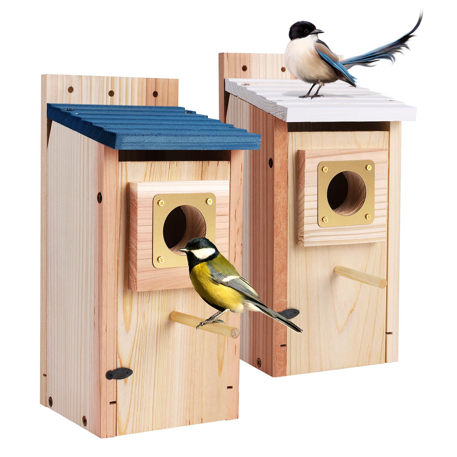Bird Houses for Outside 2Pack with Copper Guard