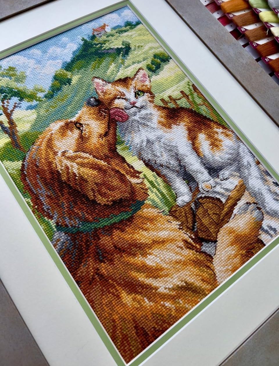 RIOLIS - Like Cat and Dog 2275, Animals Cross Stitch Kits 8¼"x11¾, Cross Stitch Kits for Beginners & Advanced, Crossstitching Kit Adult, Embroidery Counted Stitching Kit