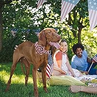 Vista 5 de Lionheart glory Collar de perro con bandera estadounidense, collar de flores para perro del 4 de julio, resistente y ajustable, collar patriótico
