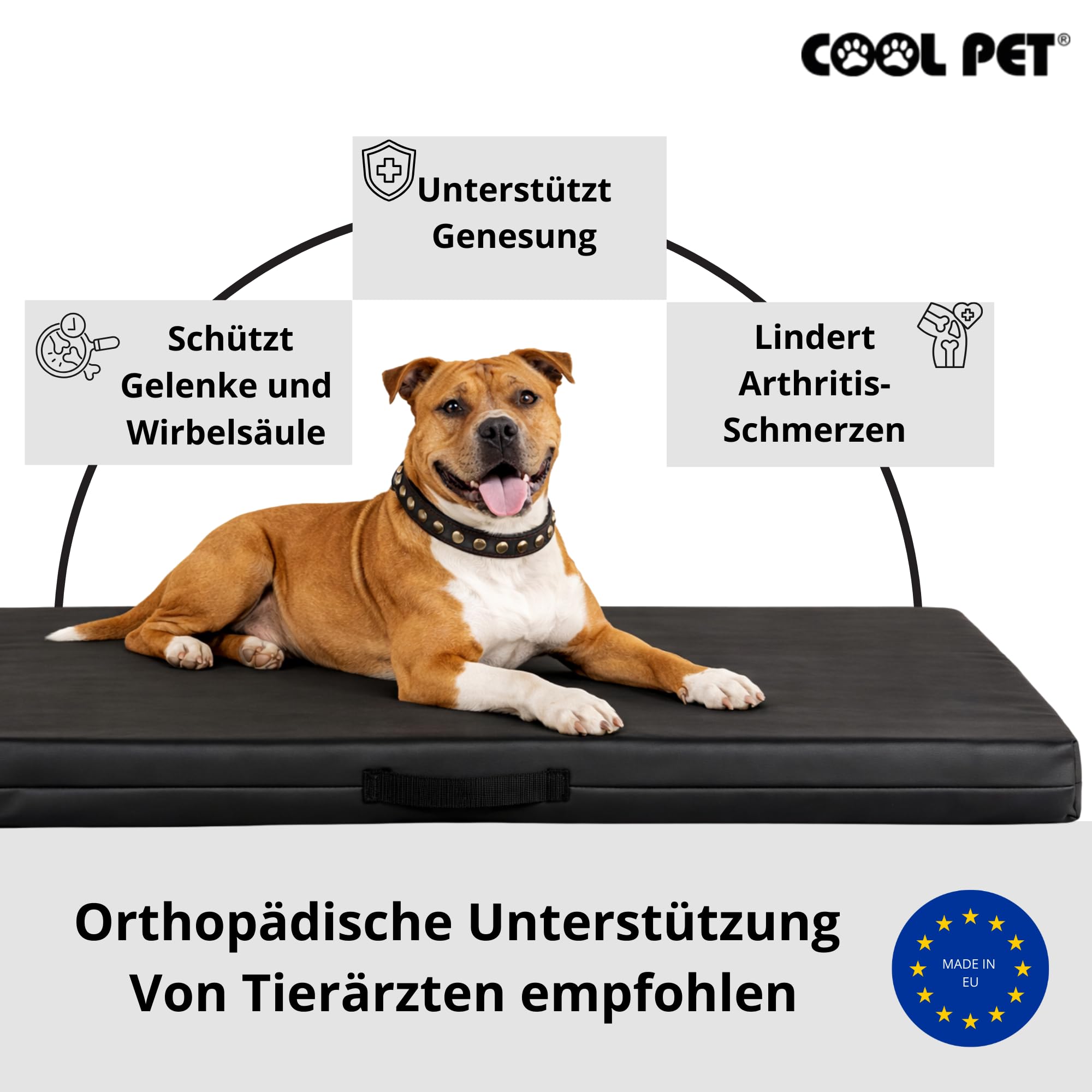 COOL PET Orthopädische Hundematratze, 138 × 88× 5 cm – VISCO-Schaumstoff (Memory-Schaum), strapazierfähiger Bezug aus hochwertigem Kunstleder mit wasserabweisendem PVC-Anstrich, Made in EU, Schwarz