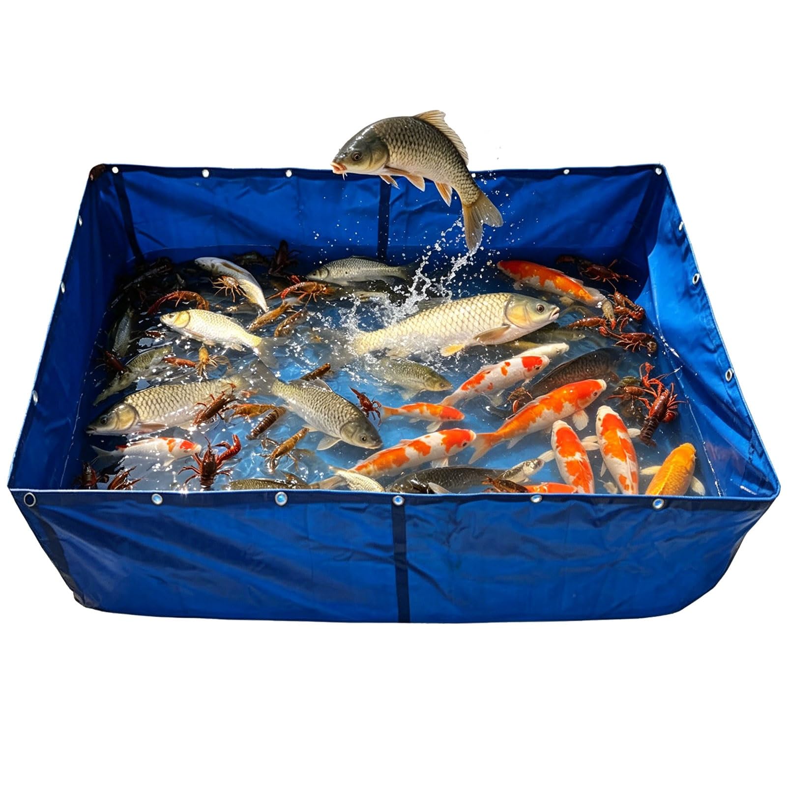Grand étang à poissons de jardin 5 mètres, bassin de stockage d'eau agricole mobile