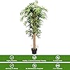 Product Photo 5