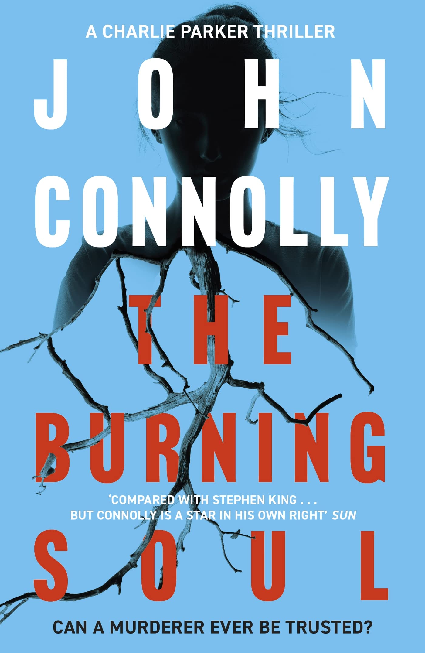 The Burning Soul: The Tenth Charlie Parker Thriller by John Connolly (Hardcover,